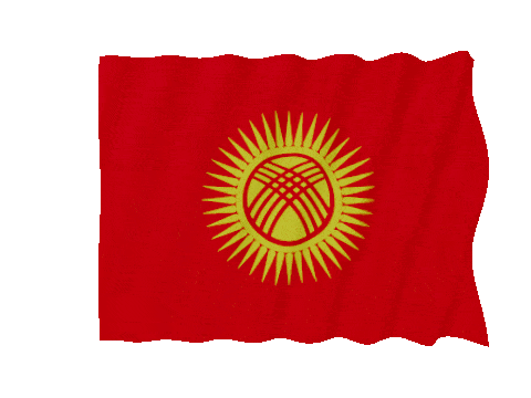 Kyrgyzstan Fast Wave animated flag GIF