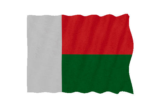 Madagascar Fast Wave animated flag GIF