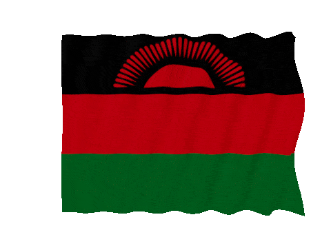 Malawi Fast Wave animated flag GIF