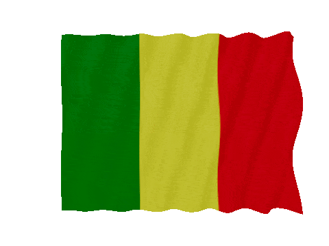 Mali Fast Wave animated flag GIF