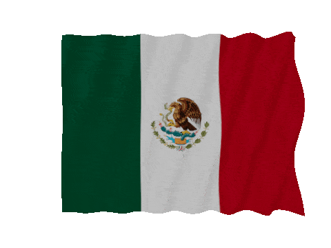 Mexico Fast Wave animated flag GIF