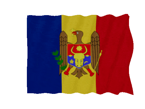 Moldova Fast Wave animated flag GIF