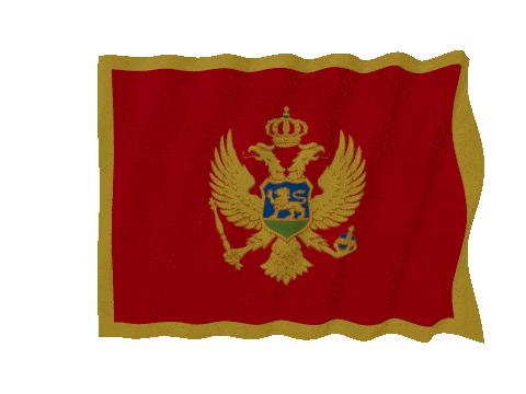 Montenegro Fast Wave animated flag GIF