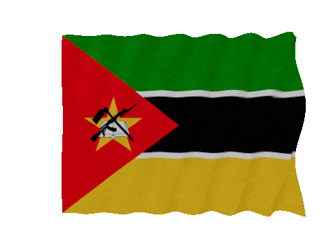 Mozambique Fast Wave animated flag GIF