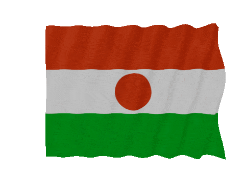Niger Fast Wave animated flag GIF