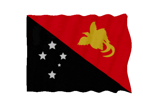 Papua New Guinea Fast Wave animated flag GIF