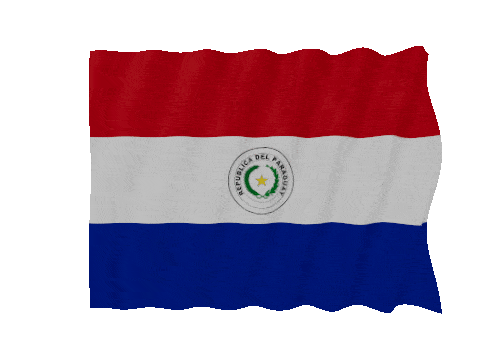 Paraguay Fast Wave animated flag GIF