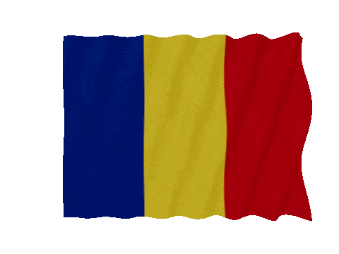 Romania Fast Wave animated flag GIF