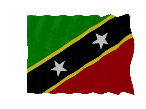 Saint Kitts And Nevis Fast Wave animated flag GIF