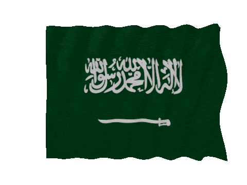 Saudi Arabia Fast Wave animated flag GIF