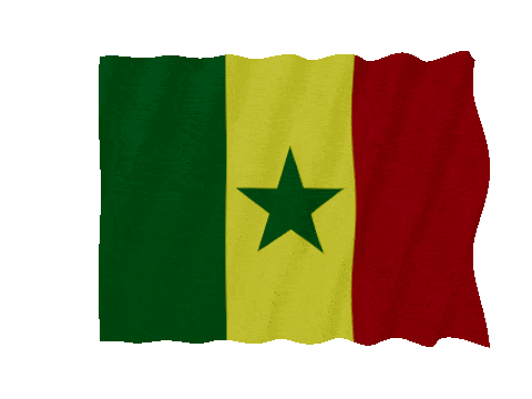 Senegal Fast Wave animated flag GIF