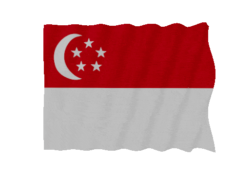 Singapore Fast Wave animated flag GIF