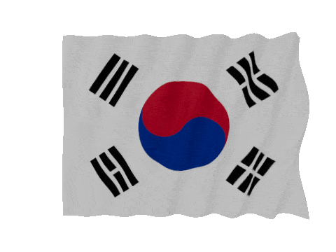 South Korea Fast Wave animated flag GIF