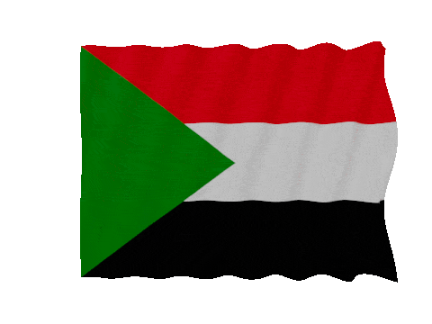 Sudan Fast Wave animated flag GIF