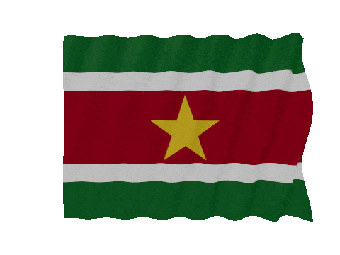 Suriname Fast Wave animated flag GIF