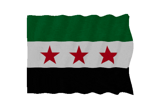 Syria Fast Wave animated flag GIF