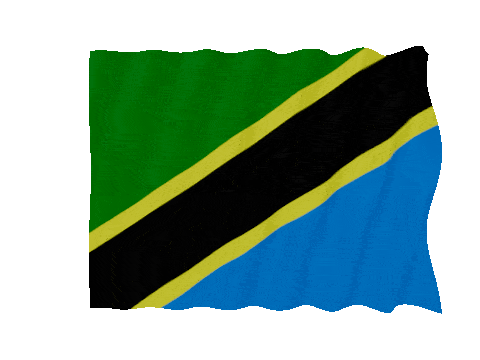 Tanzania Fast Wave animated flag GIF