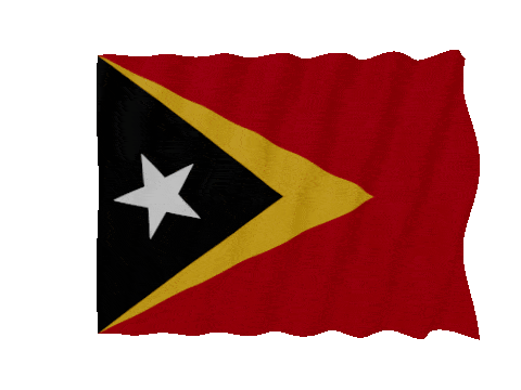Timor Leste Fast Wave animated flag GIF