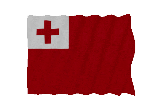 Tonga Fast Wave animated flag GIF
