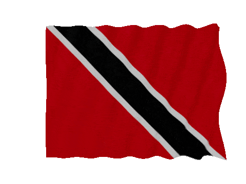 Trinidad And Tobago Fast Wave animated flag GIF