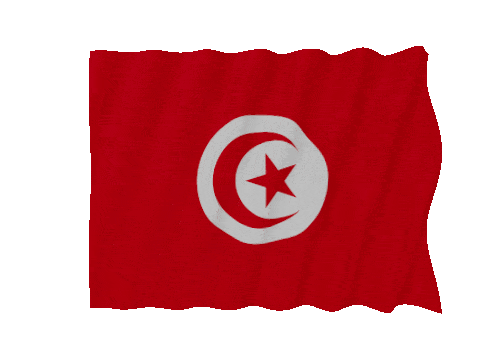 Tunisia Fast Wave animated flag GIF