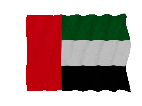 United Arab Emirates Fast Wave animated flag GIF