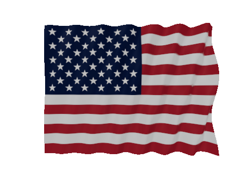 Fast Wave US flag