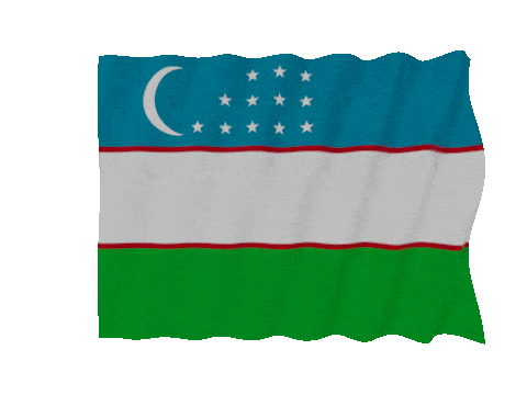 Uzbekistan Fast Wave animated flag GIF