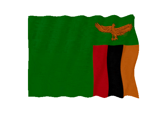 Zambia Fast Wave animated flag GIF