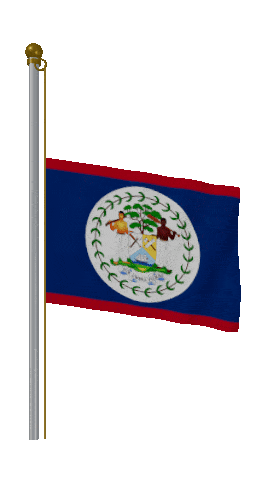 Belize Half Mast animated flag GIF