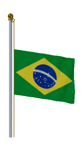 Brazil Half Mast animated flag GIF