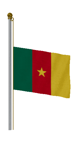 Cameroon Half Mast animated flag GIF