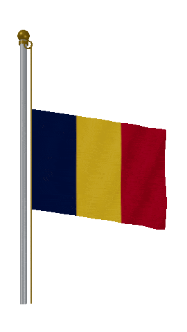 Chad Half Mast animated flag GIF