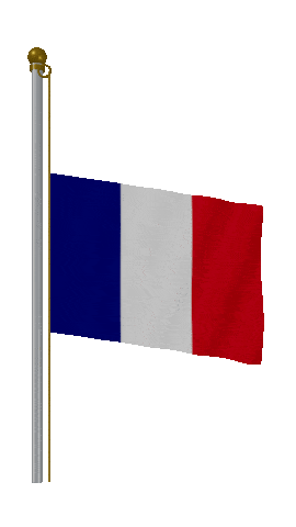 France Half Mast animated flag GIF