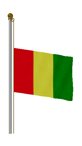 Guinea Half Mast animated flag GIF