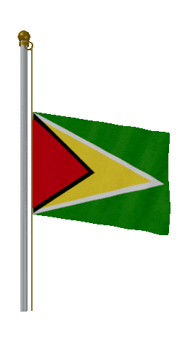 Guyana Half Mast animated flag GIF