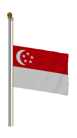 Singapore Half Mast animated flag GIF