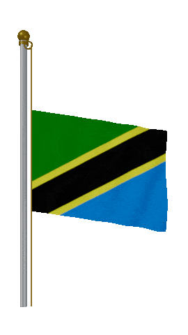 Tanzania Half Mast animated flag GIF