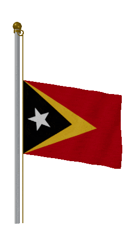 Timor Leste Half Mast animated flag GIF