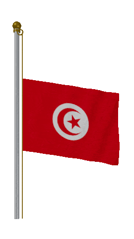 Tunisia Half Mast animated flag GIF