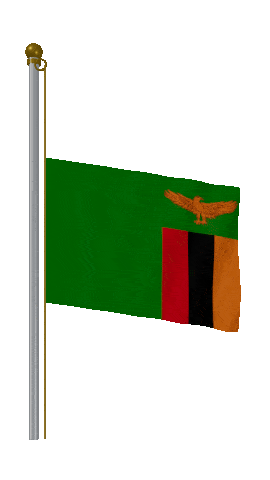Zambia Half Mast animated flag GIF