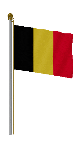 Belgium Hold Pole animated flag GIF