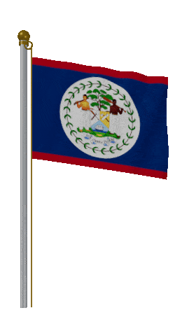 Belize Hold Pole animated flag GIF