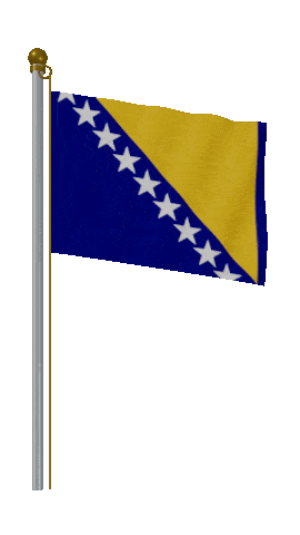 Bosnia And Herzegovina Hold Pole animated flag GIF