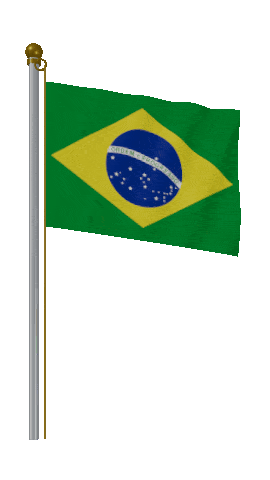 Brazil Hold Pole animated flag GIF