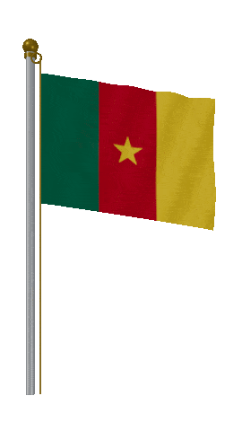 Cameroon Hold Pole animated flag GIF