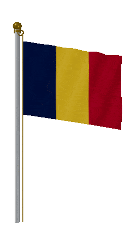 Chad Hold Pole animated flag GIF