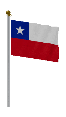 Chile Hold Pole animated flag GIF