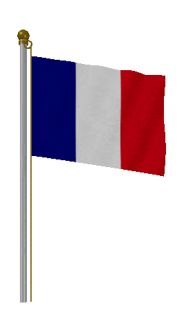 France Hold Pole animated flag GIF