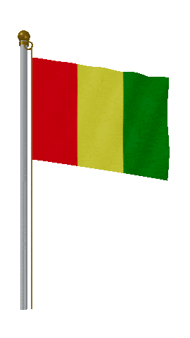 Guinea Hold Pole animated flag GIF
